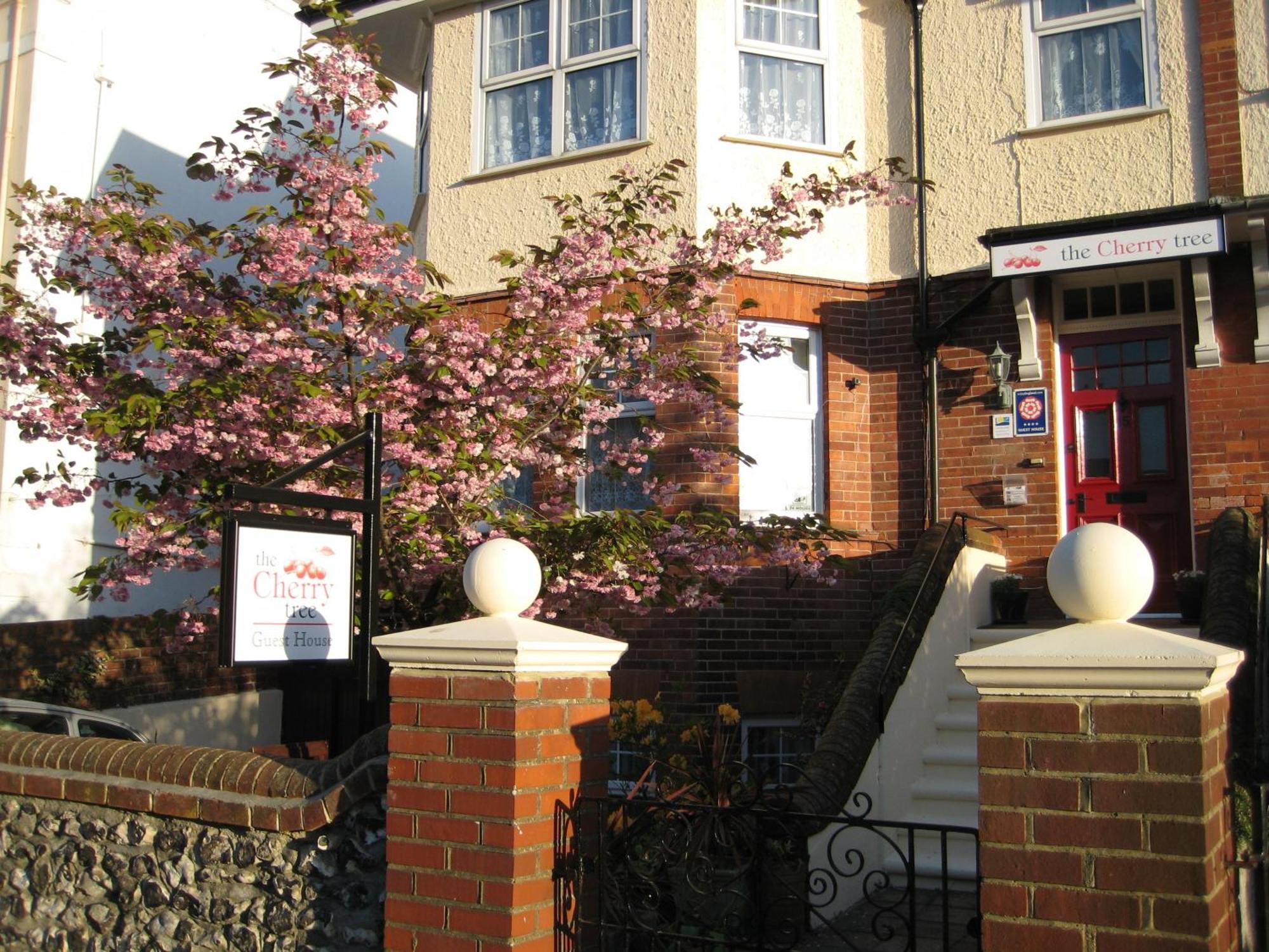 The Cherry Tree Guest House Eastbourne Dış mekan fotoğraf