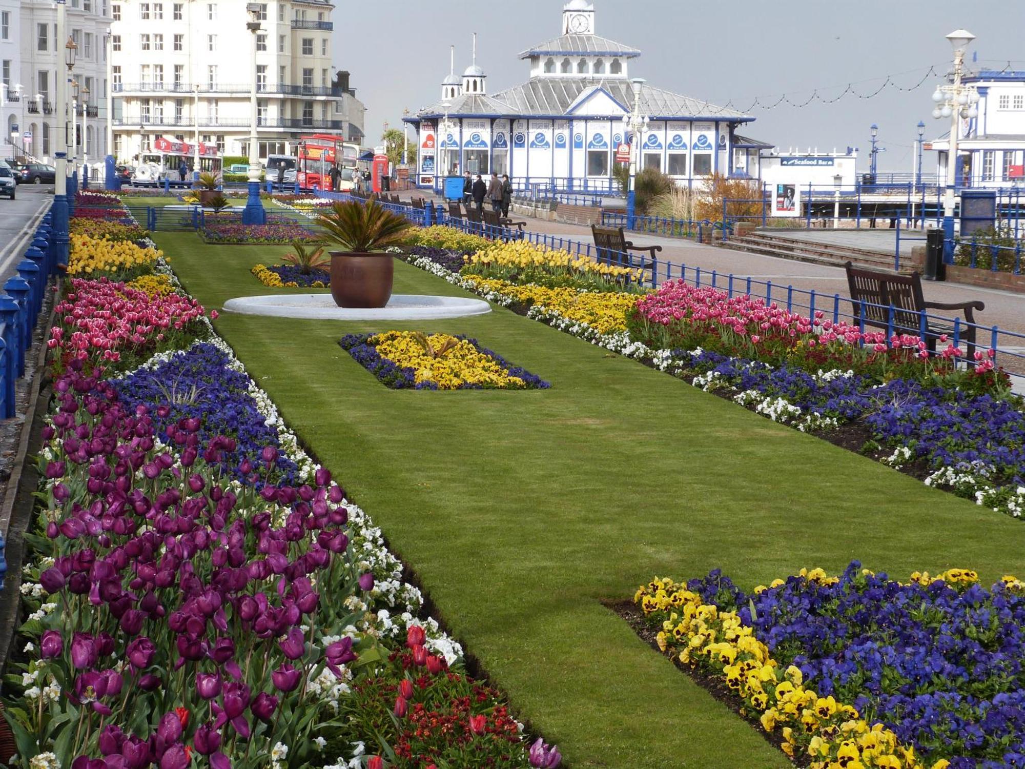 The Cherry Tree Guest House Eastbourne Dış mekan fotoğraf