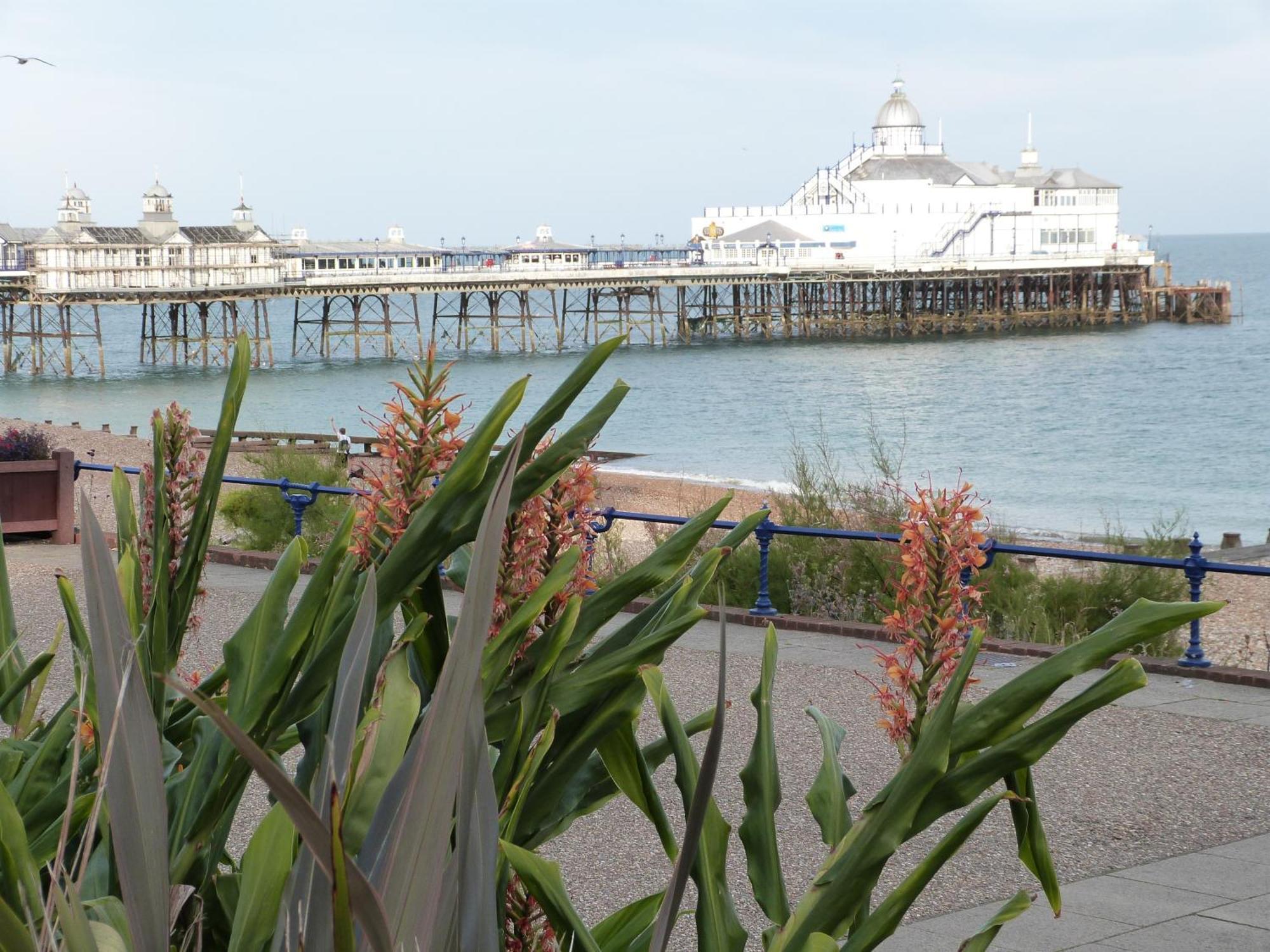 The Cherry Tree Guest House Eastbourne Dış mekan fotoğraf